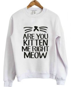 Are You Kitten Me Right Meow Sweatshirt