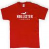 Hollister shirt