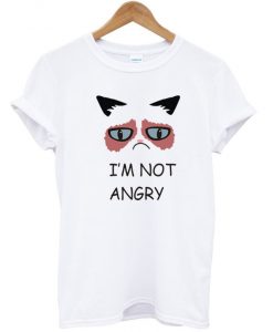 im not angry