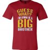 Big Brother Graphic Unisex Cotton T-Shirts