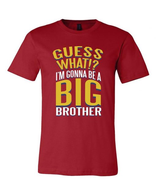 Big Brother Graphic Unisex Cotton T-Shirts