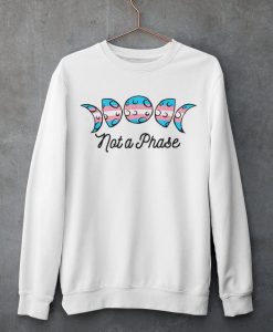 Trans Not a Phase Sweatshirt