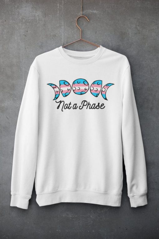 Trans Not a Phase Sweatshirt