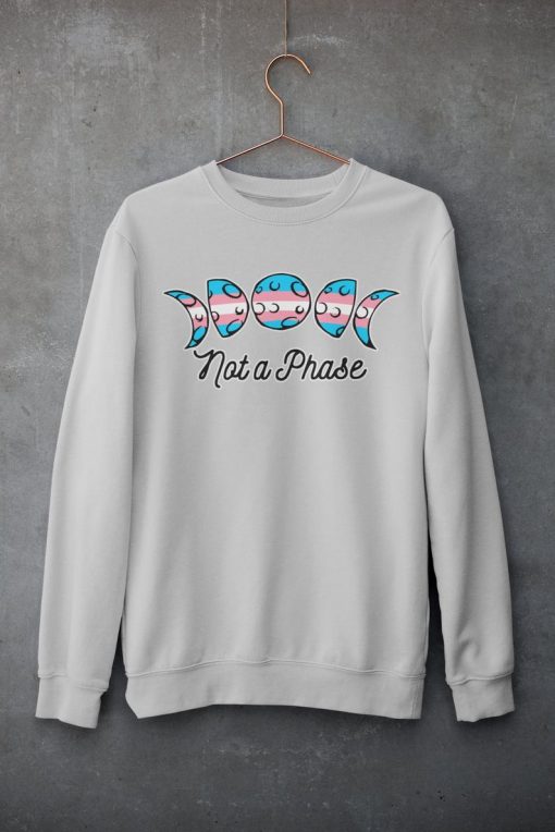 Trans-Not-a-Phase-Sweatshirts