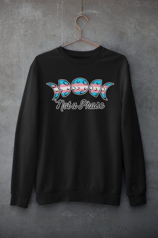 Trans Not a Phase black Sweatshirt