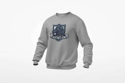 RAVENCLAWS Quidditch Team Sweatshirt