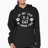 im not lazy im a cat in human form unisex pullover hoodie