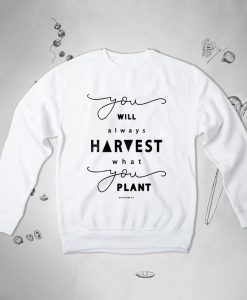 Bible Verse sweatshirt