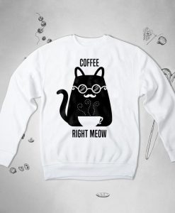 Cat sweatshirt