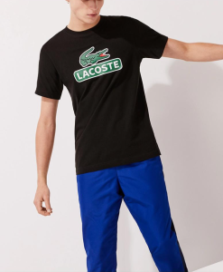 New Lacoste T-Shirt