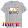 Dog Lover Not Today Lazy Animal T-Shirt