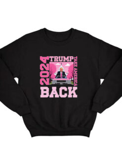 Donald Trump 2024 Take America Back Election 47th 45th Usa Sweatshirt SD